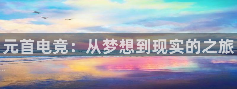 米兰电竞网站人口：元首电竞：从梦想到现实的之旅