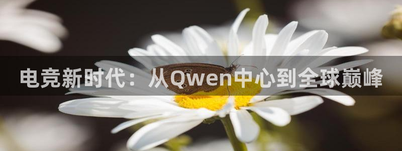 米兰电竞app：电竞新时代：从Qwen中心到全球巅峰