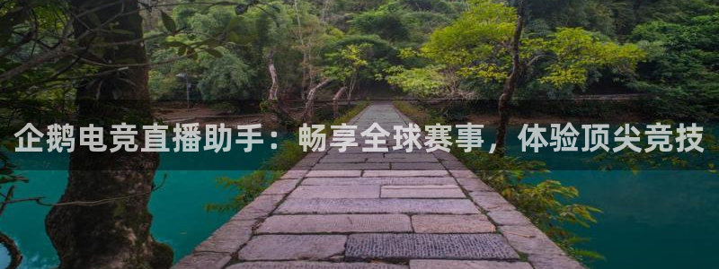 米兰电竞网站入口：企鹅电竞直播助手：畅享全球赛事，体验顶尖竞技