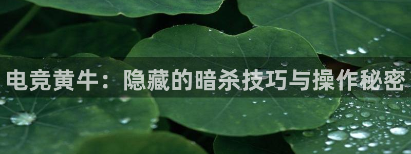 米兰电竞首页：电竞黄牛：隐藏的暗杀技巧与操作秘密