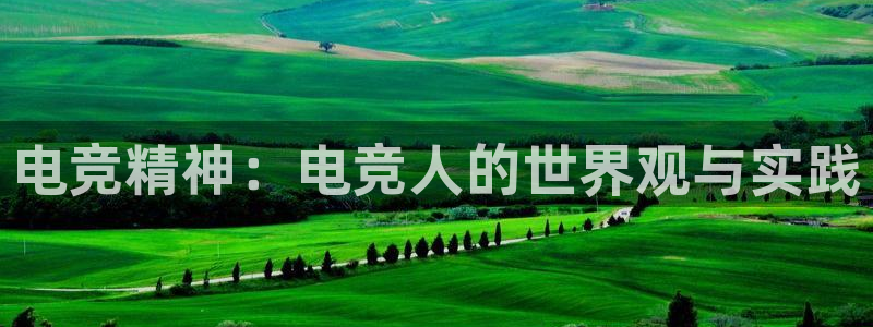 米兰电竞平台：电竞精神：电竞人的世界观与实践