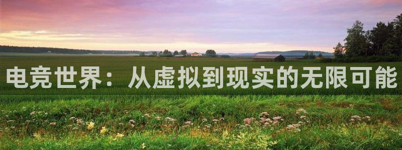 米兰电竞体育：电竞世界：从虚拟到现实的无限可能